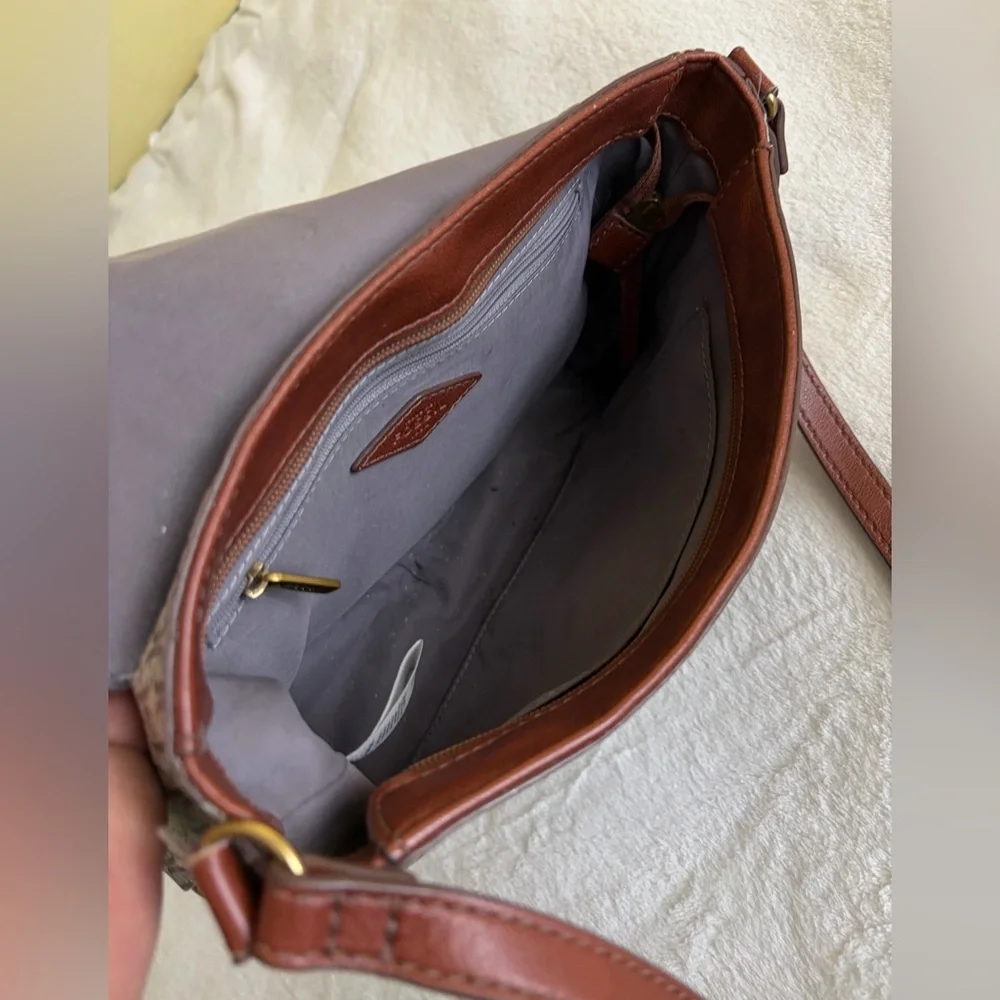 Fossil elegant brown